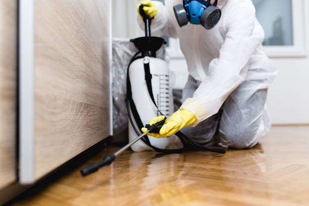Professional Pest Control in Dunlap, TN