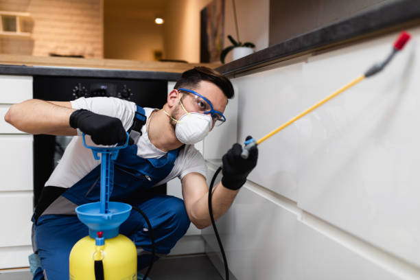 Best Bed Bug Extermination  in Dunlap, TN
