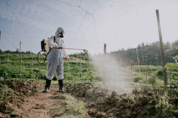 Best Affordable Pest Control Services  in Dunlap, TN
