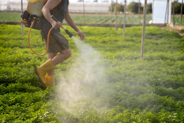 Best Best Pest Control Near Me  in Dunlap, TN