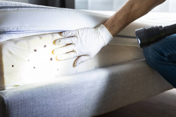 Best Pest Control for Businesses  in Dunlap, TN