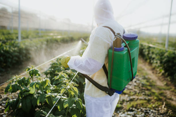 Best Bed Bug Extermination  in Dunlap, TN